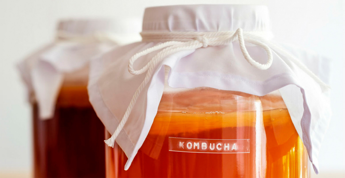 Cómo preparar Kombucha la receta de la bebida ancestral que tiene