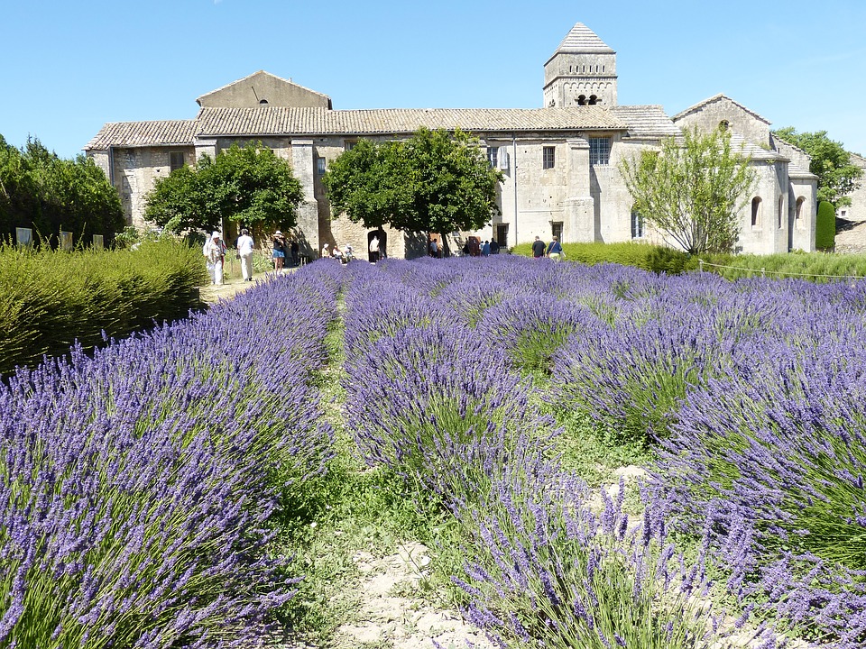 Conocé cómo es SaintRémy, el pueblo de La Provence donde