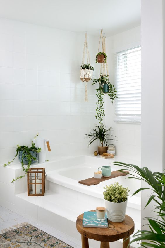 Las plantas en el baño son tendencia (¡mirá cómo!) – Para Ti