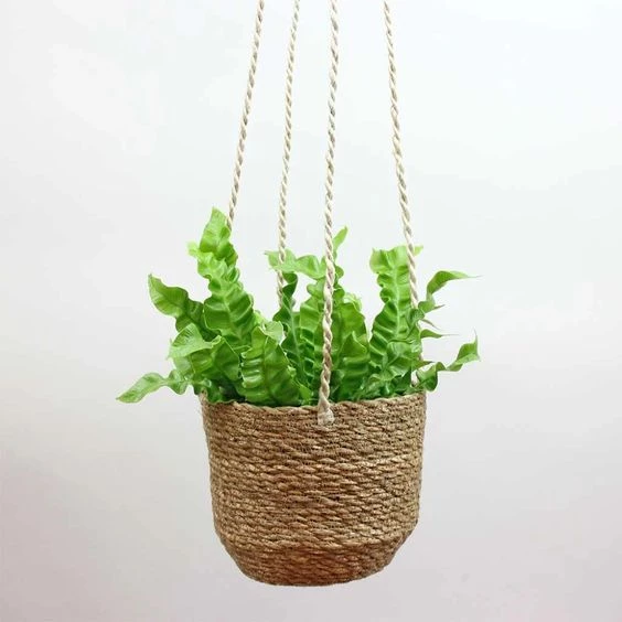 Macetero colgante de macramé para planta Florencia – Deco y Puntos