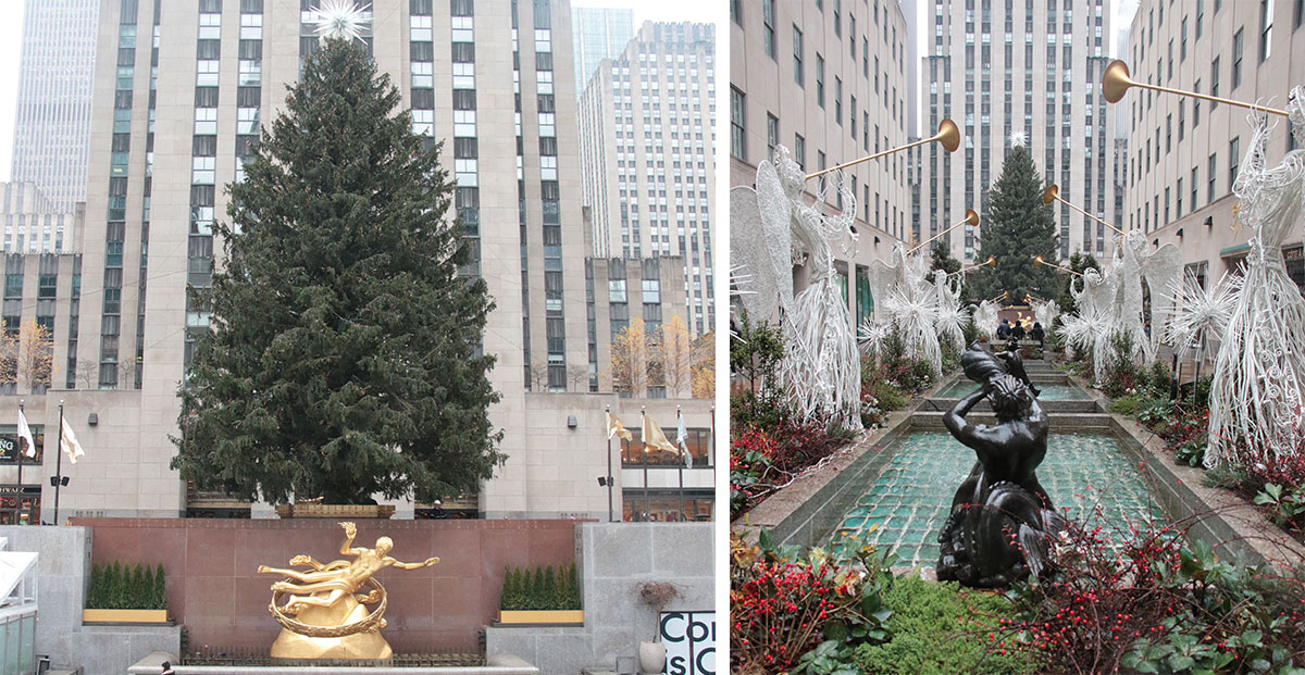 El Rockefeller Center de Nueva York ya instaló su popular árbol de