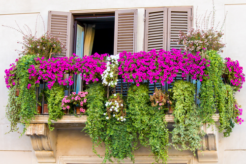 Las colgantes más para decorar balcones – Revista Para