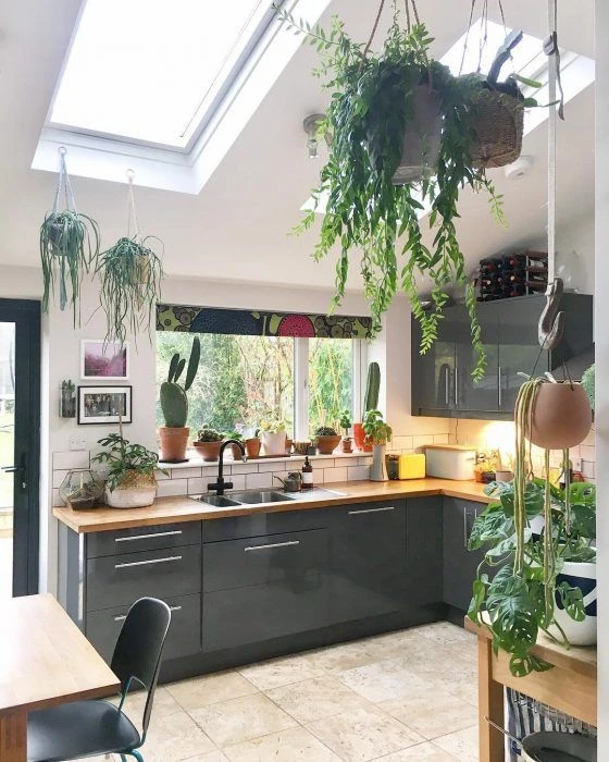 7 ideas para decorar la cocina con plantas - Blog Goian