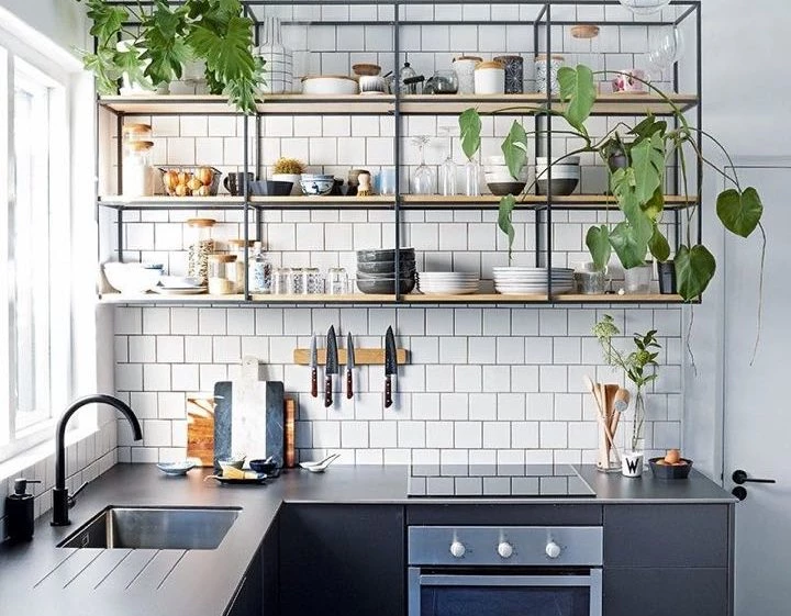 17 ideas prácticas para decorar la cocina con plantas y darle un estilo  único