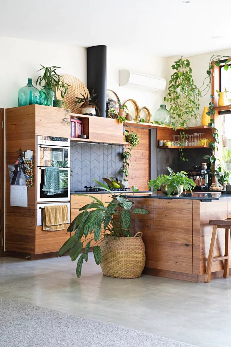 17 ideas prácticas para decorar la cocina con plantas y darle un estilo  único