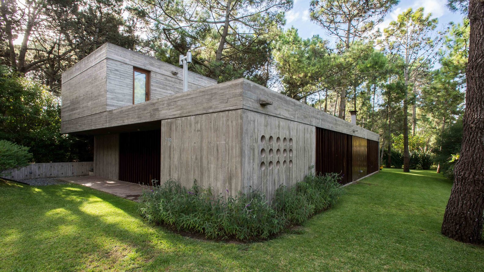 Una casa de hormigón que dialoga con un bosque en Argentina