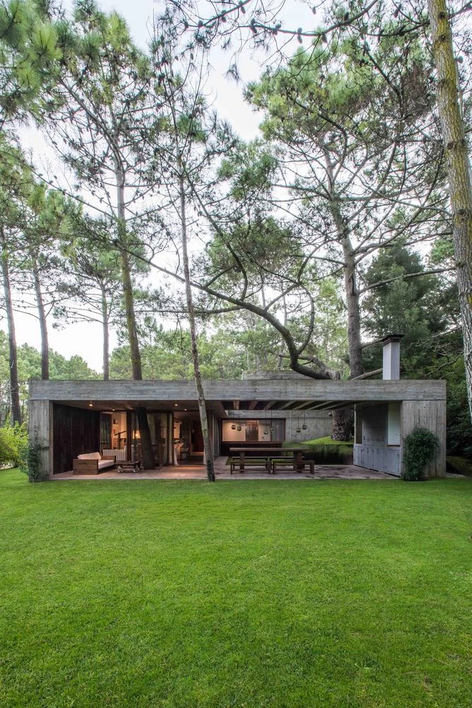 Una casa de hormigón que dialoga con un bosque en Argentina