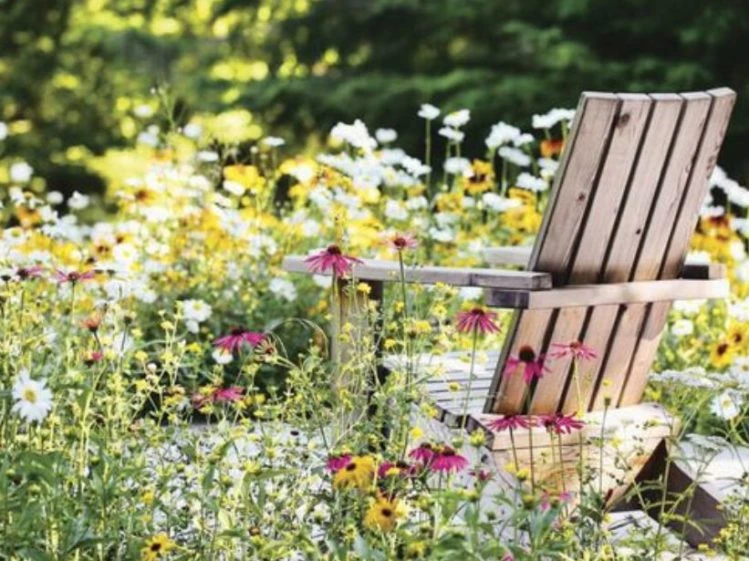 Las rosas  Revista de Flores, Plantas, Jardinería, Paisajismo y