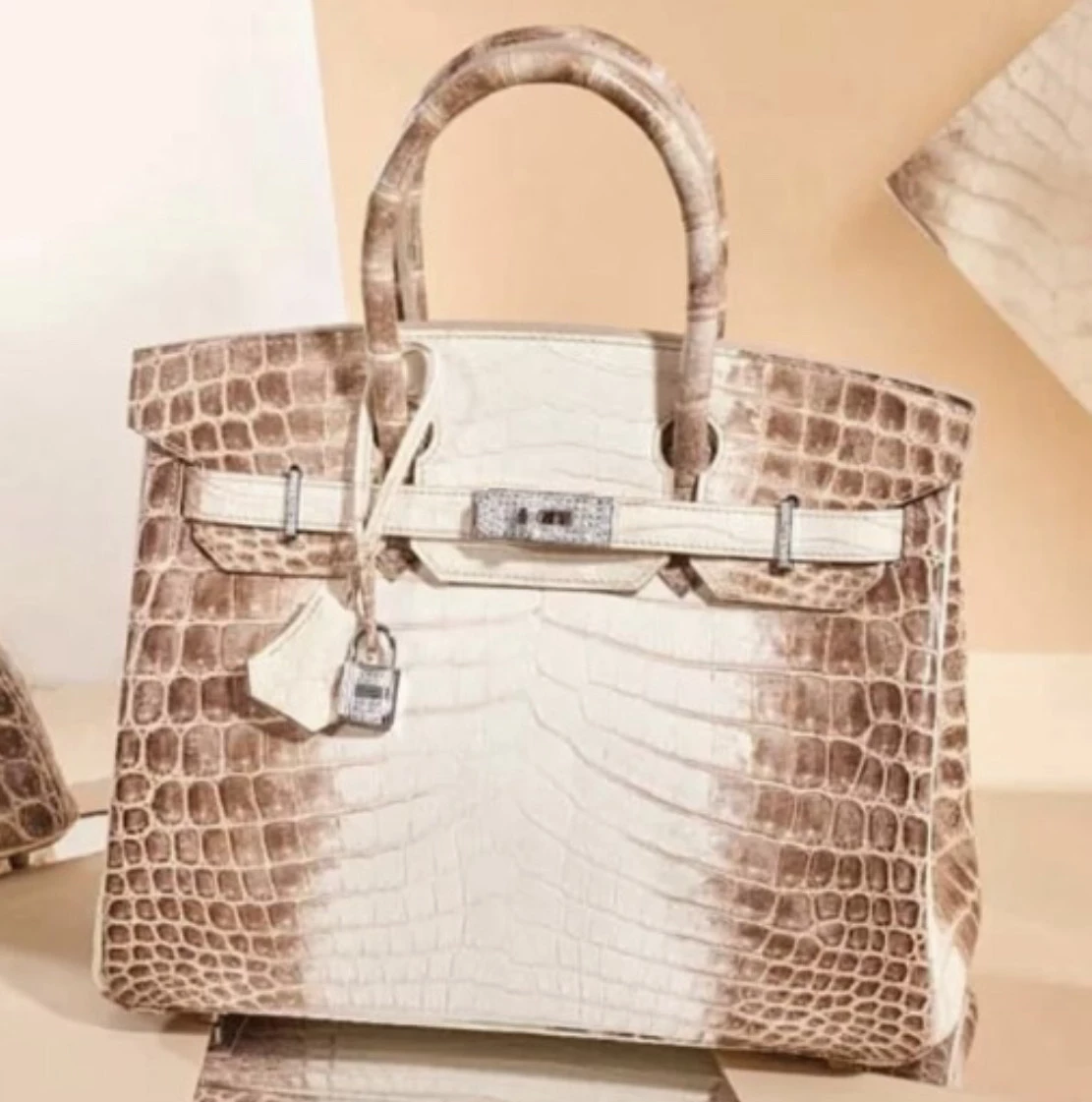 La exclusiva cartera Birkin de Wanda. Foto: web.