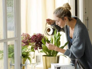 Manual de Jardinería: ¿es bueno o malo regar las plantas con agua de la canilla?