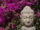 Feng Shui: qué significa y dónde hay que colocar la cabeza de Buda para atraer la buena suerte