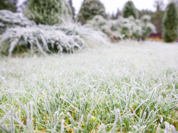 Cómo cuidar el pasto en invierno