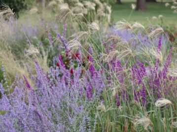 Manual de Jardinería: cómo tener un buen criterio de diseño a la hora de elegir las plantas para tu jardín