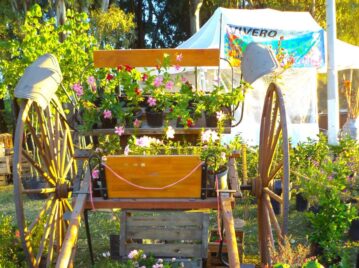 A sólo 2 horas de Buenos Aires, este es el pueblo con más flores perfecto para visitar este finde XXL