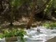 Naturaleza y almuerzo al aire libre, así fue el día de campo de Juliana Awada