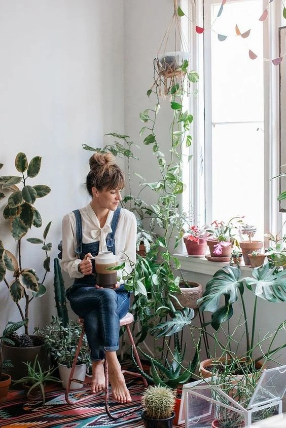 Ideas para Decorar tu Casa con Plantas de Interior