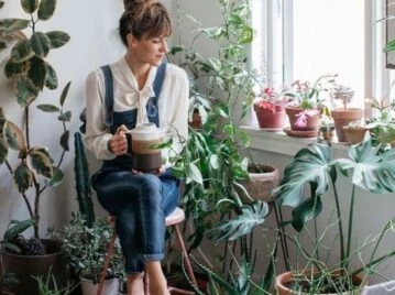 Tips y consejos para ubicar tus plantas dentro de tu casa - Maschic -  Maschic