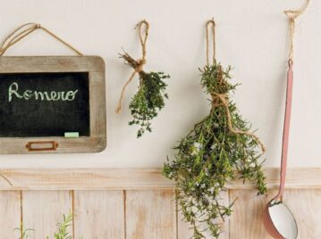 Manual de Jardinería: aprendé a usar el romero como repelente natural y ahuyentar a los mosquitos