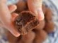 Trufas de chocolate y dulce de leche: una receta ideal para la merienda