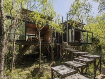 Una cabaña de madera escondida en un bosque de sauces en el Delta