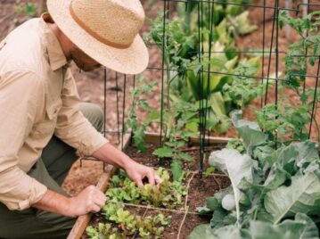 Manual de Jardinería: 4 recetas de purines para controlar las plagas que atacan las huertas