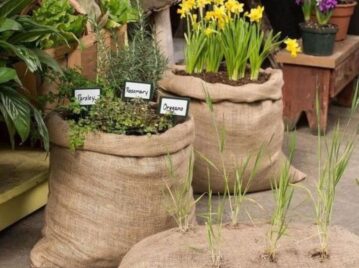 Manual de Jardinería: huerta en bolsas, la última tendencia para cultivar tus propias verduras