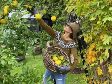 Tips para tener un limonero, el árbol favorito de Juliana Awada