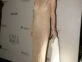 Nequi Galotti deslumbró con un naked dress en la Gala Para Ti. Foto: Diego García.