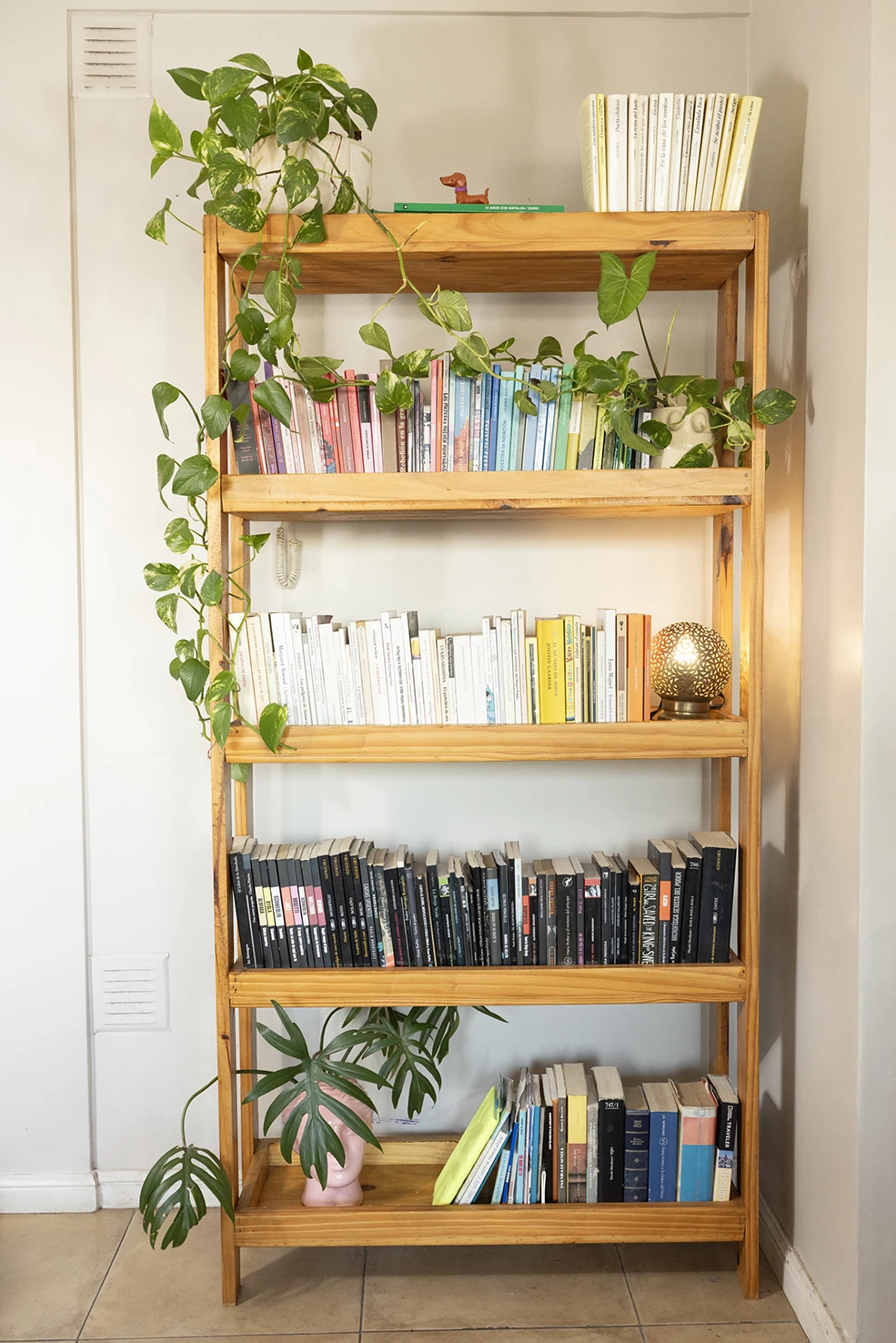 En la biblioteca, los libros ordenados por colores, entre plantas y objetos decorativos.