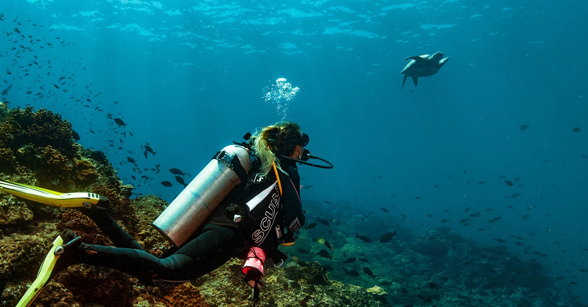 Buceo en Panamá