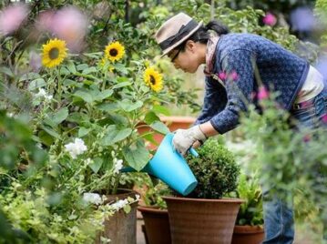 Manual de Jardinería: 5 flores perfectas para sembrar en agosto