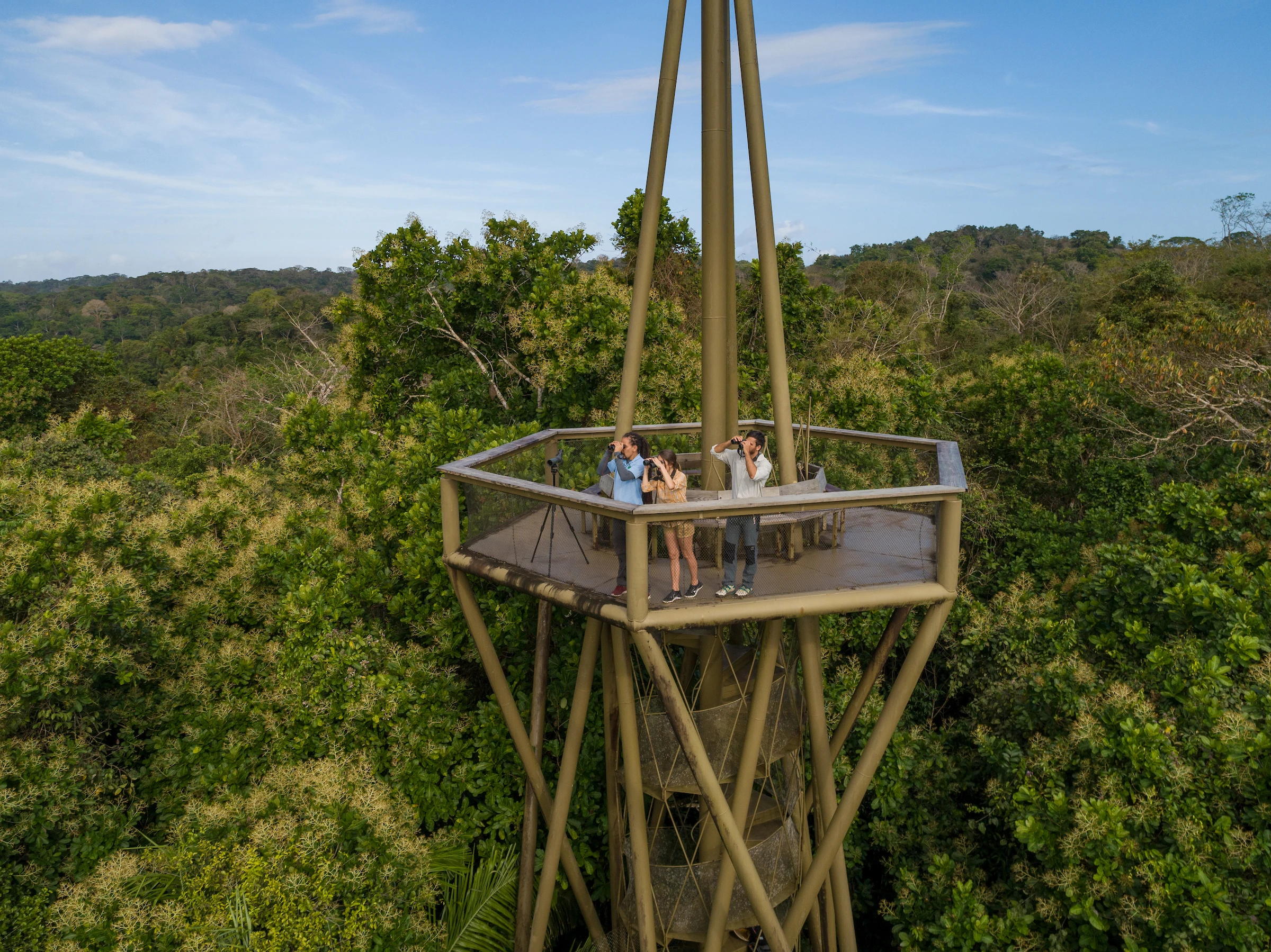 Gamboa Rainforest Reserve, Province of Panama