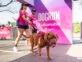 dogrun cuidado de mascotas 