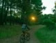 Bicicletas por el bosque en Miramar