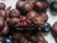 Postre fit de chocolate y arándanos la receta viral que lleva 3 ingredientes