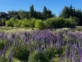 Jardín de Juliana Awada en Villa La Angostura