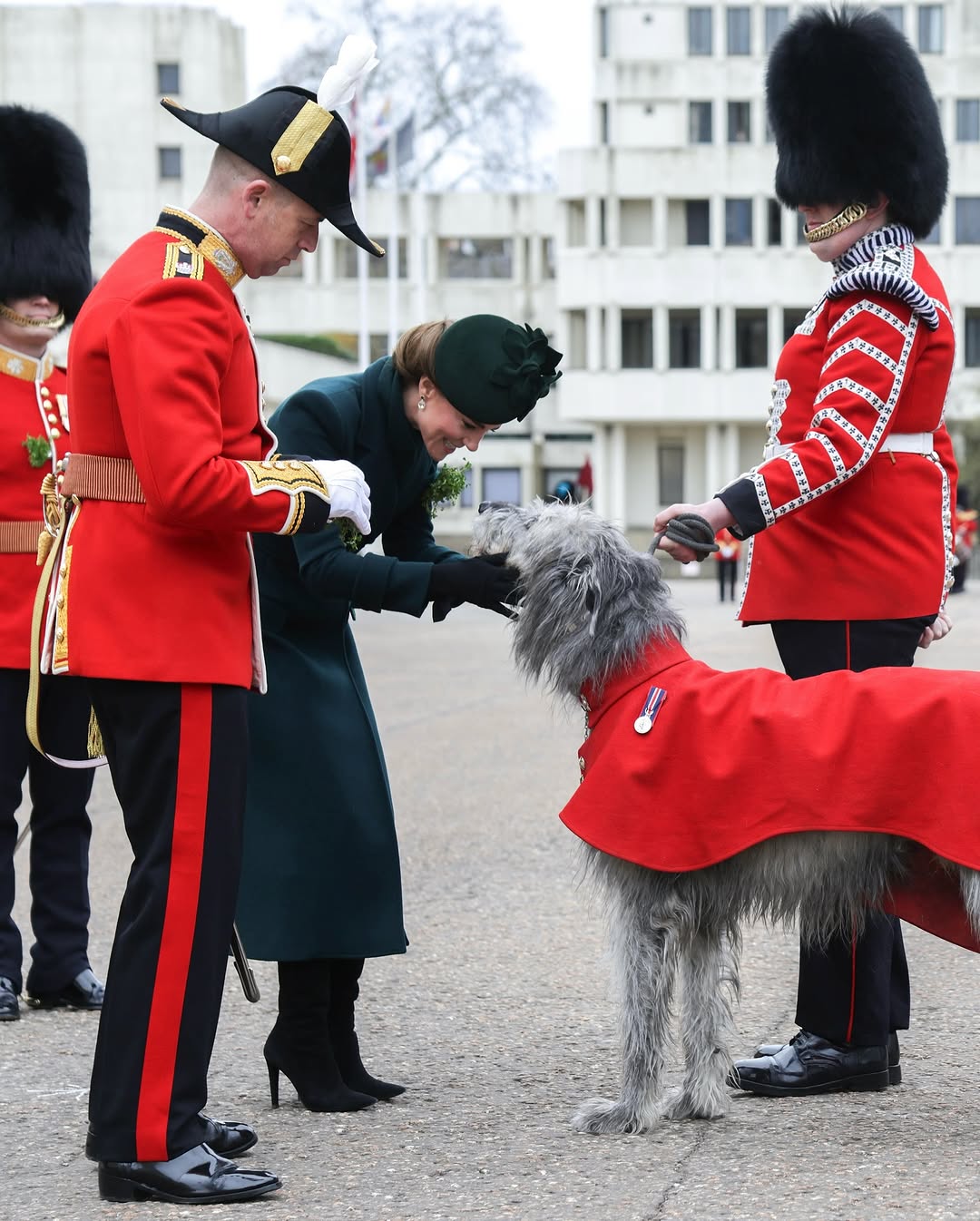 kate middleton en San Patricio 2025 